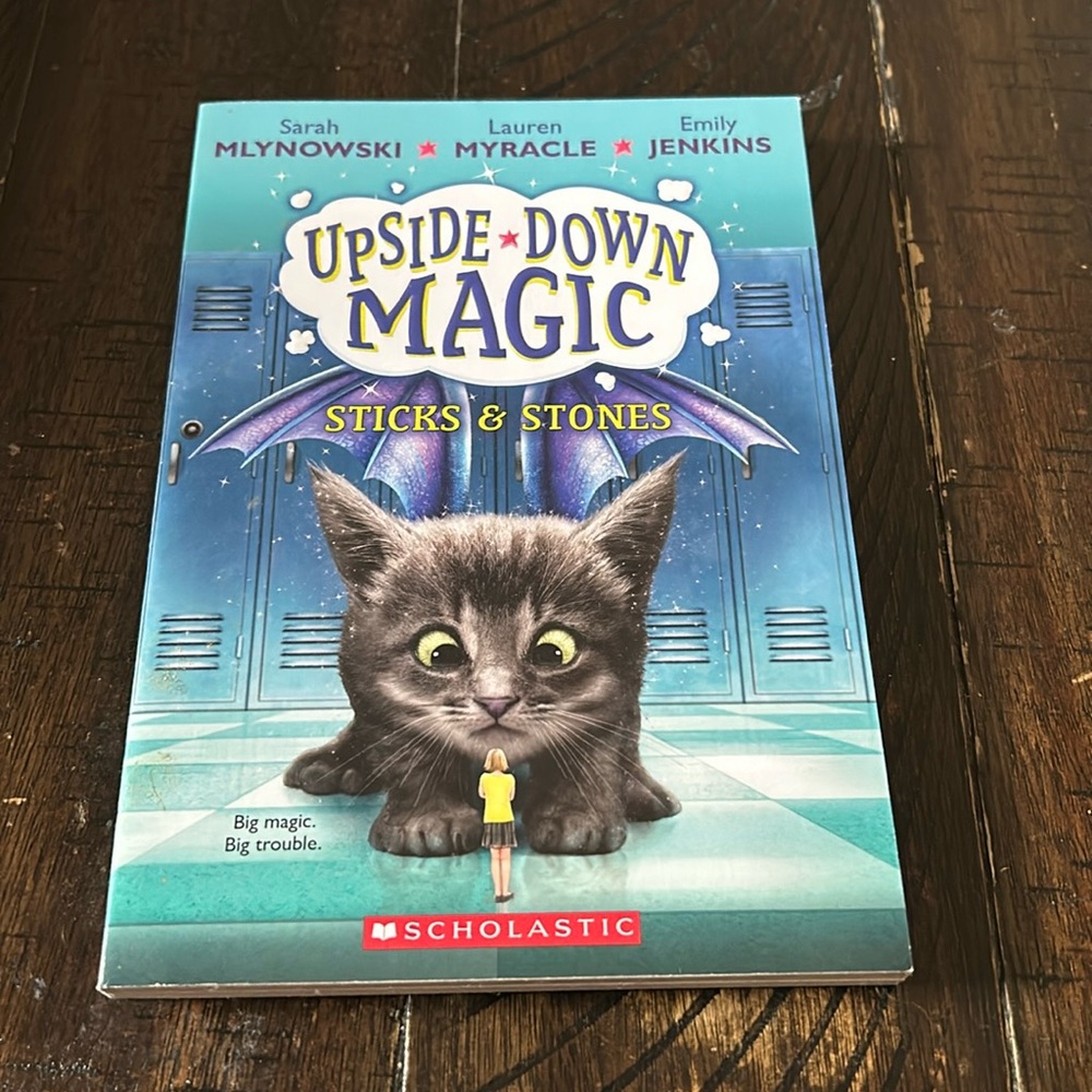 💙3/$15 🆕Upside Down Magic Sticks and Stones Book